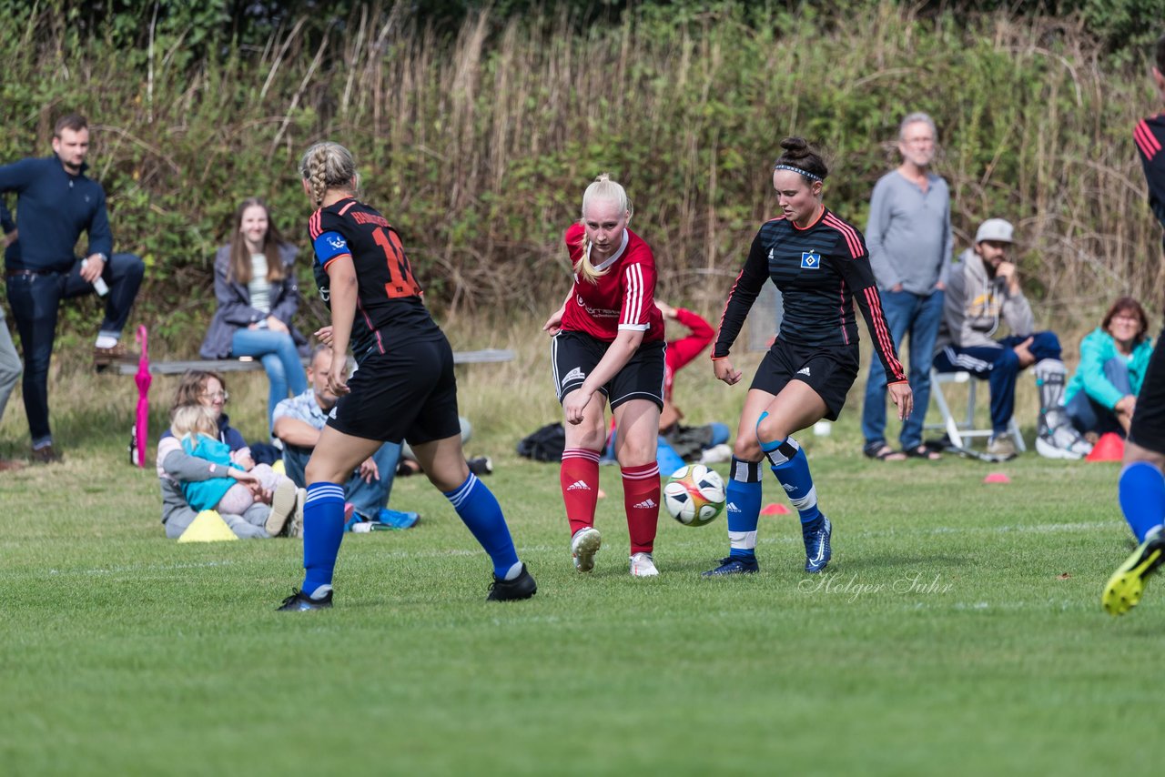 Bild 191 - Frauen SG NieBar - HSV 2 : Ergebnis: 4:3